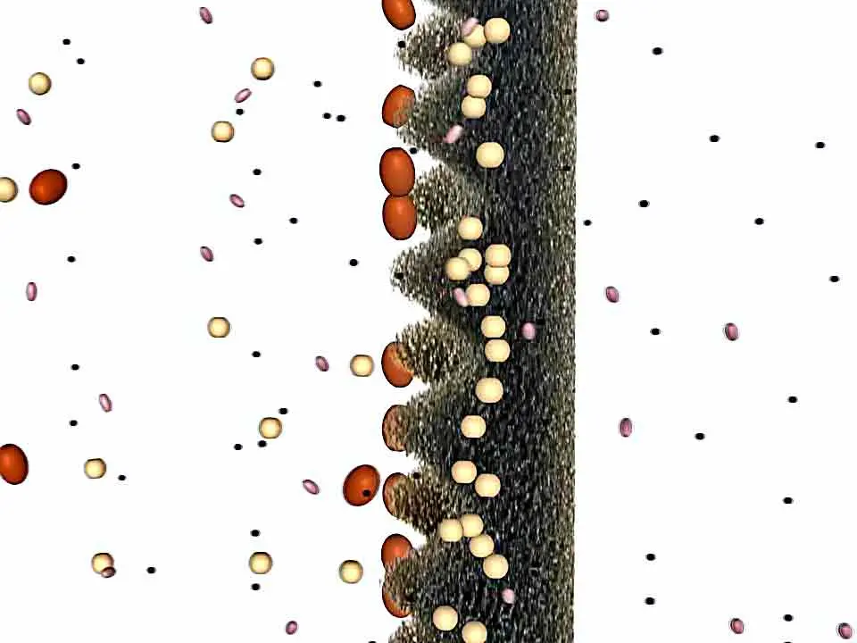 Große Poren in Teichfiltern führen zu hohen Folgekosten