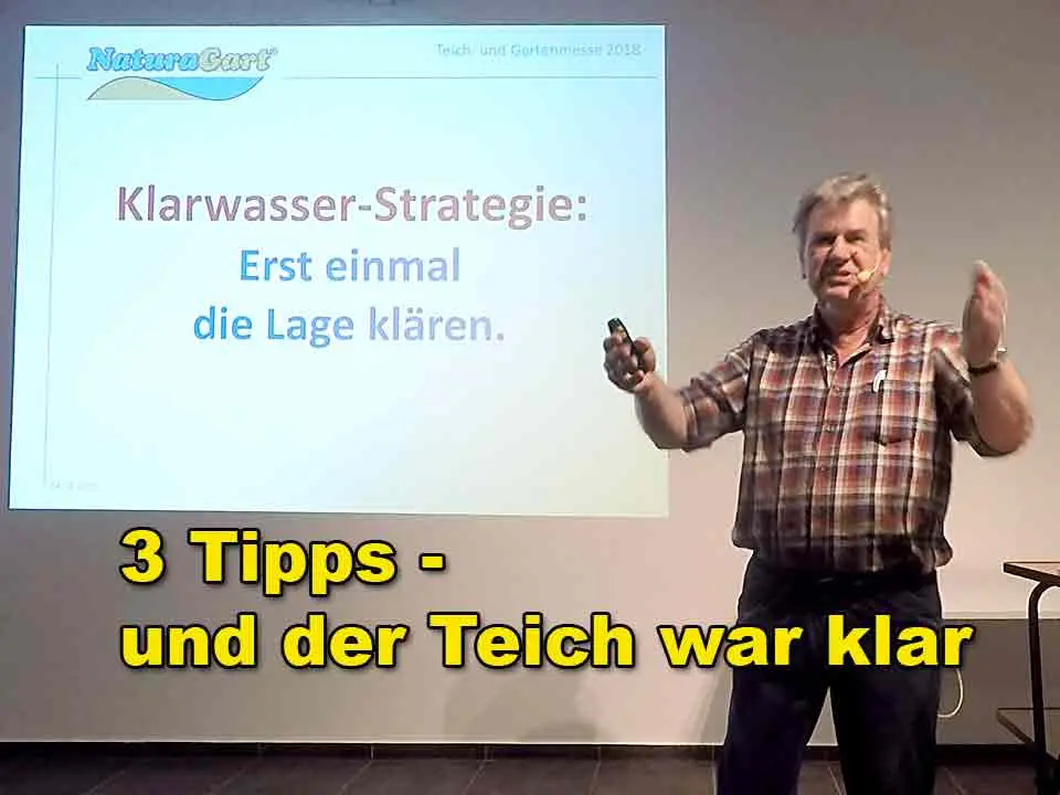 Öffentlicher System-Vergleich: 3 Tipps und der Teich war klar