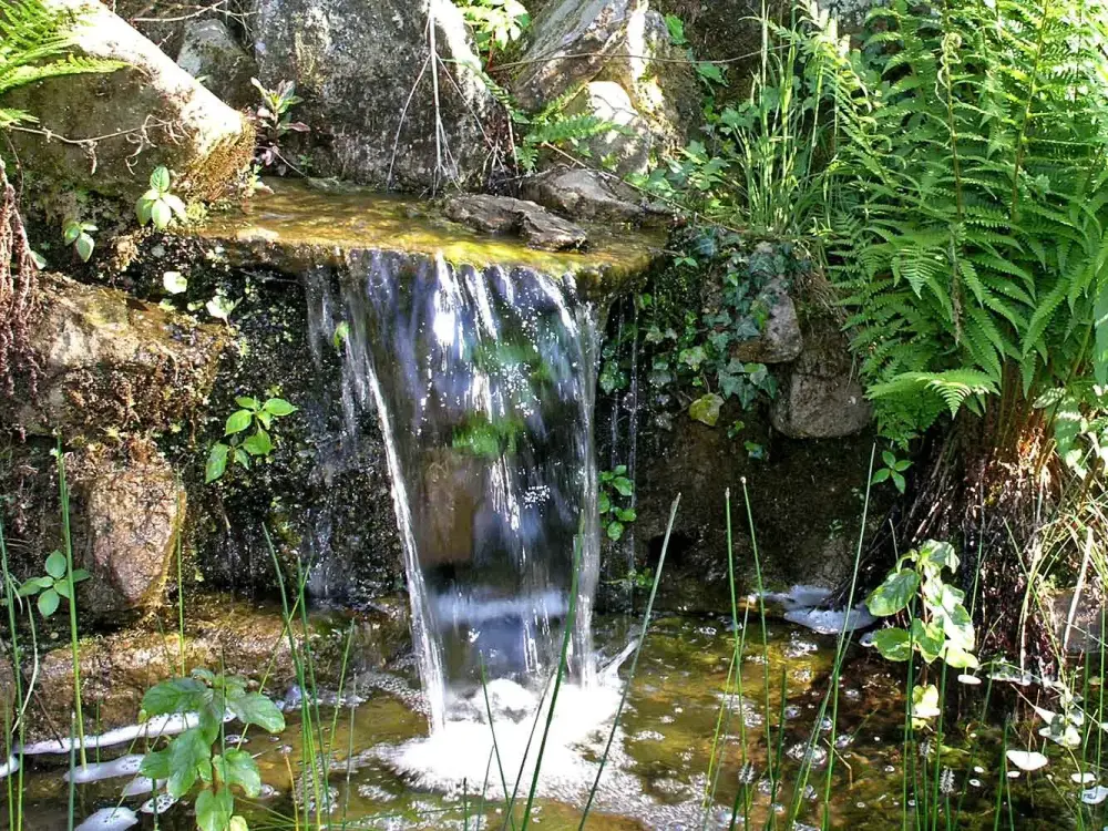 Mit nur einer Pumpe: Das Teichwasser wird gefiltert und fliesst über einen kleinen Bach zurück
