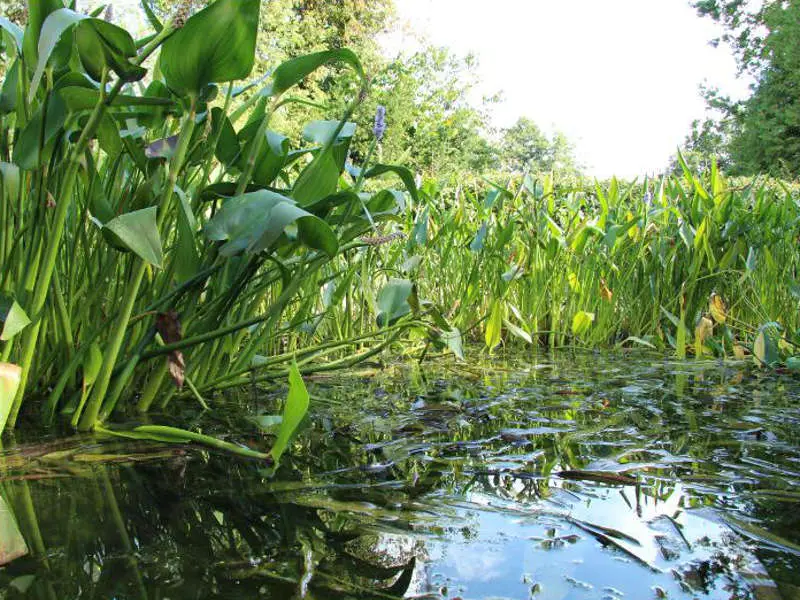 Filtergraben-Technik