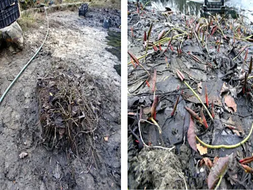 Zum besseren Verständnis