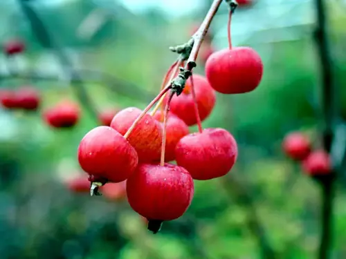 So wählen Sie richtig