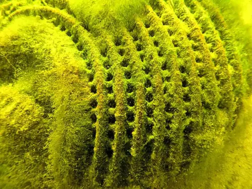 Lösungen ohne Filtergraben