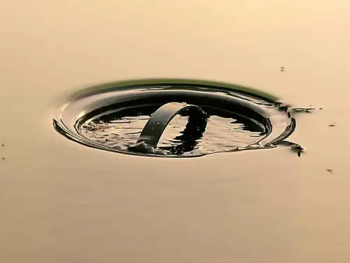 Der Wasserstand im Skimmer ist niedriger als im Teich