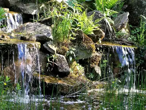 Teichpumpen für Bäche und Filter: wenig Druck, viel Wasser