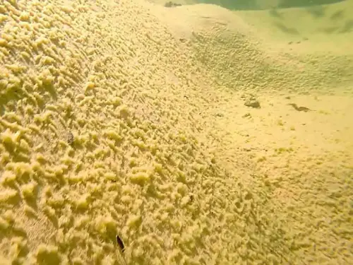 Es beginnt immer mit einer ganz dünnen Sedimentschicht