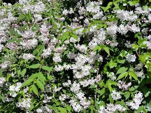 Optimaler Service: Sortimente