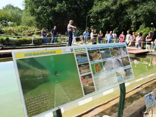 Beispiele im Park