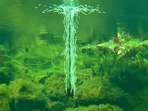 Teichbelüfter sind die erste Hilfe für das Notfall-Management in Fischteichen