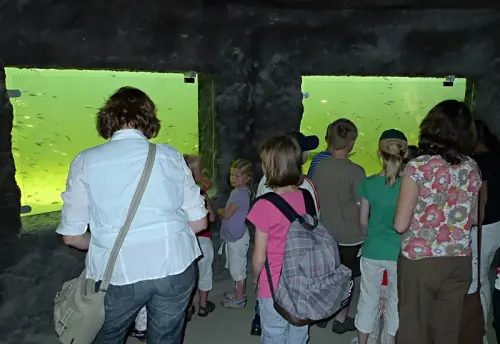 Normale Gruppenführung