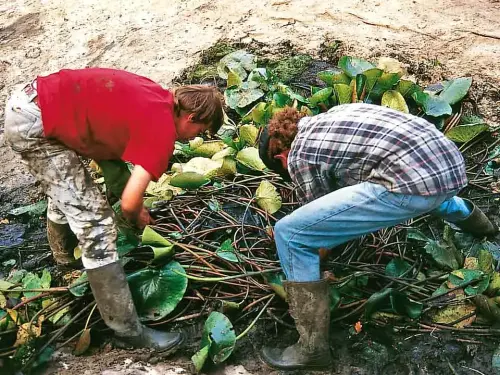 Teich-Sanierung durch eine bessere Teichfolie vermeiden