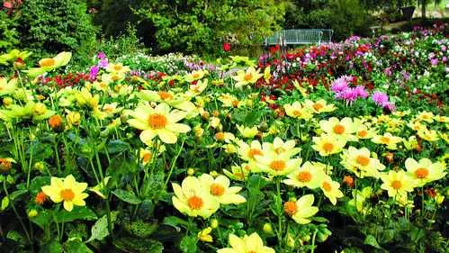 Park-Landschaft - Bild 2