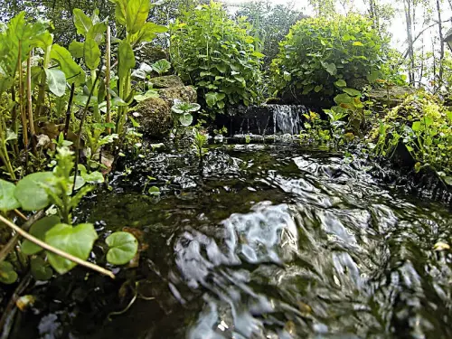 Die richtige Pumpe für den Bach