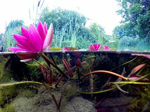 Wie groß ist das Verlustrisiko?