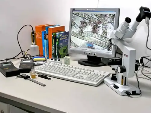 Teich-Diagnosen: Wir bringen Teiche in die richtige Spur