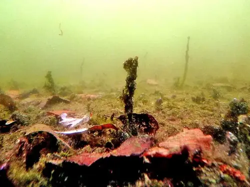 Die Sedimentschicht wird im Laufe der Zeit immer dicker