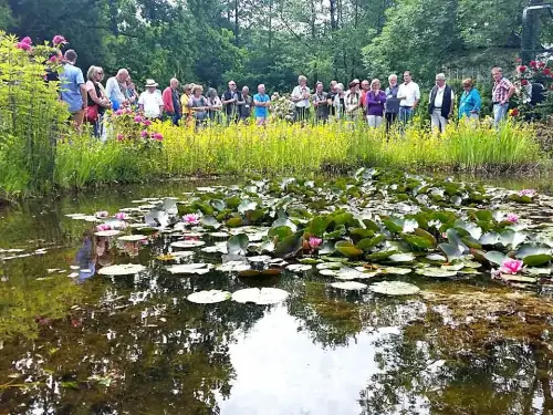 Die Teiche im Park sind ideale Beispiele für die Praxis