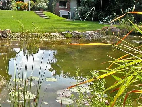 Eingespültes Erdreich bringt bei Starkregen Dünger in den Teich