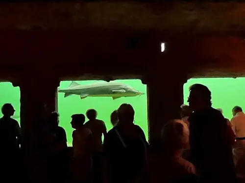 Ein Teichbau-Seminar auch aus der Fisch-Perspektive