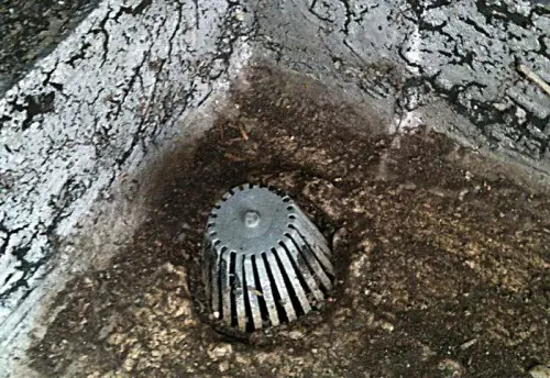 Entwässerung prüfen