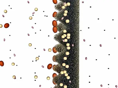 Große Poren in Teichfiltern führen zu hohen Folgekosten