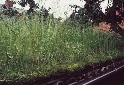 Entwässerung nach außen