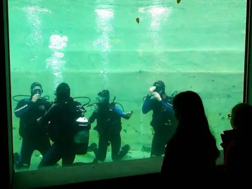 Interessant für alle