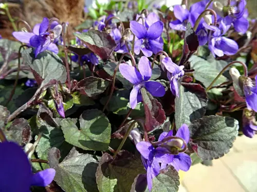 Sortimente zum Kombinieren