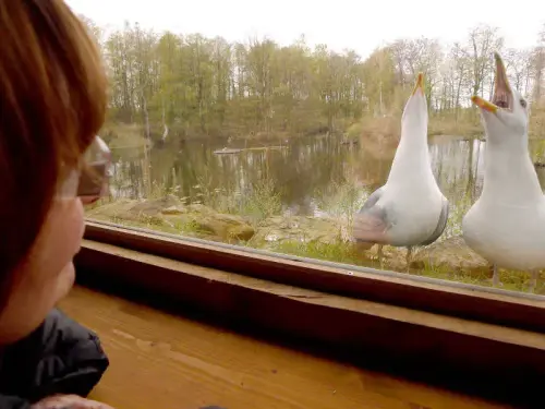 Wichtiges Thema: Naturkontakt