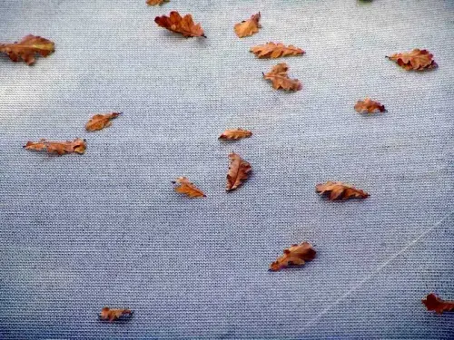 Baumaterial: Laubschutz-Netz