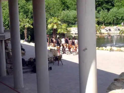 Viel Platz für Aktionen