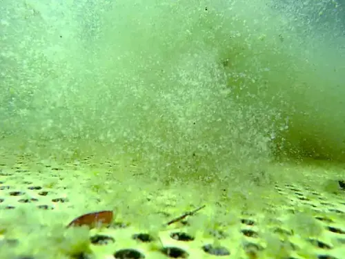 Saugleitungen in Teichen transportieren feines Sediment