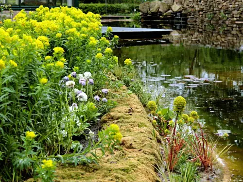 Wenn Sie zu wenig pflanzen