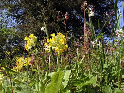 Auenwiesen-Sortiment