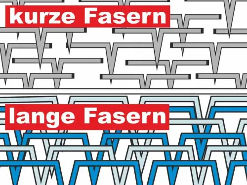 Lange Fasern machen das Vlies durch mehr Haltepunkte fester