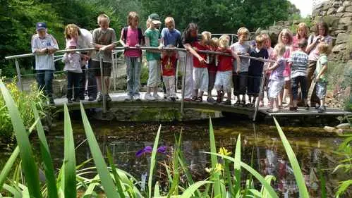 Stege und Brücken - Bild 1