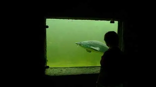 Teichfenster - Bild 1