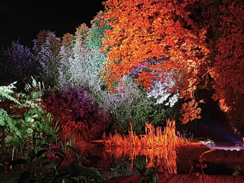 Essen + Umfeld = Erlebnis