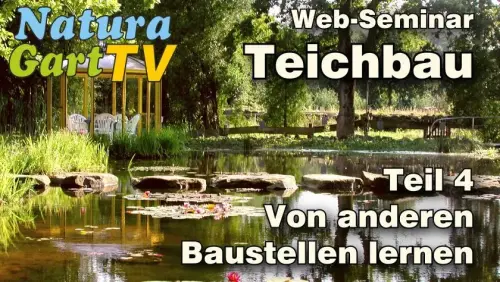 Von Teich-Baustellen lernen