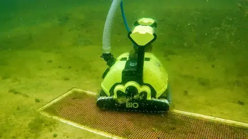 Bester Wirkungsgrad bei der Teichreinigung durch zwei Effekte