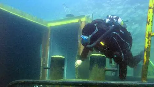 Wracktauchen - Bild 13