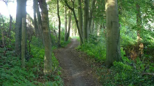 Rundwanderweg - Bild 2