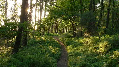 Teutoburger Wald - Bild 3