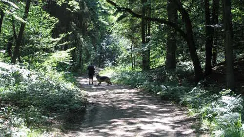 Teutoburger Wald - Bild 4