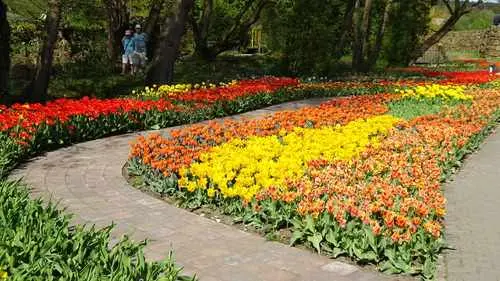 Frühlingsblüte im Park - Bild 11