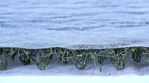 Die Drainmatte entwässert das Dach