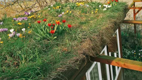 Welche Dächer kann man selbst begrünen?