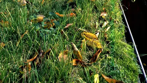 Die Entwässerung in eine Dach-Rinne