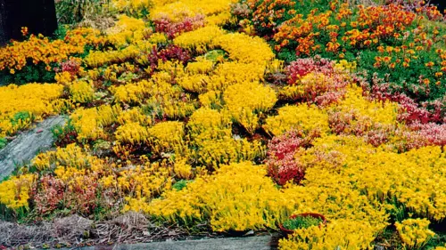 Oft klappt ein Trick: Dächer unterteilen