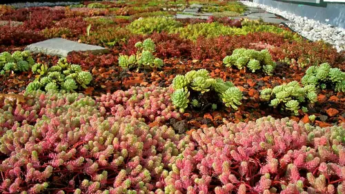 Erdschicht und Gewicht einer Dachbegrünung